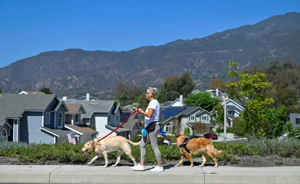 Cathy Seiders, a 43-year resident, walks her and a neighbors...